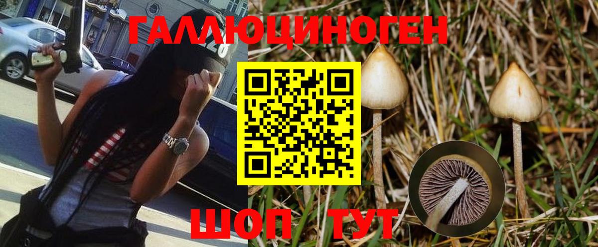 Дзержинский  Галлюциногенные грибы GOLDEN TEACHER  Вход с VPN 